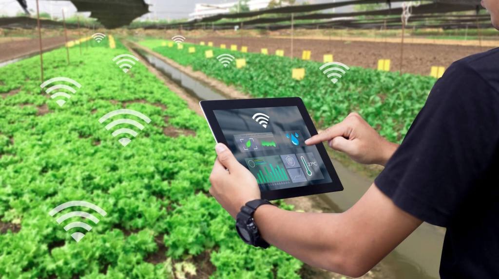 Cảm biến IoT trong nông nghiệp thông minh giúp tối ưu hóa sản xuất và quản lý tài nguyên