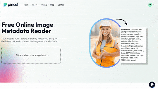 Pincel AI extracts AI prompts from image